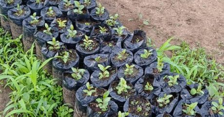 WhatsApp Image 2025-12-06 at 12.25.33 PM (1)