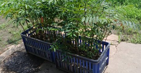 WhatsApp Image 2025-12-06 at 12.25.33 PM (2)