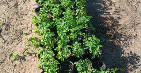 WhatsApp Image 2025-12-06 at 12.25.33 PM