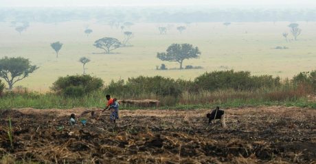 pexels-rinoadamo-34632463